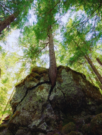 Landscape detail — the in-between